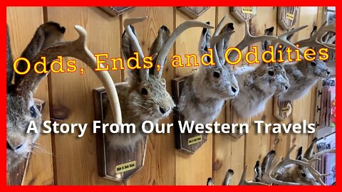 Odds, Ends, and Oddities: A Story From Our Western Travels