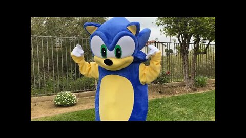 SONIC THE HEDGEHOG PLAY READ ALOUD STORY TIME