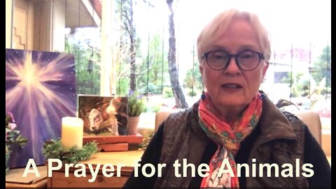 A Prayer for the Animals