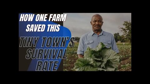 True Stories, How One Farm Saved This Tiny Town’s Survival Rate