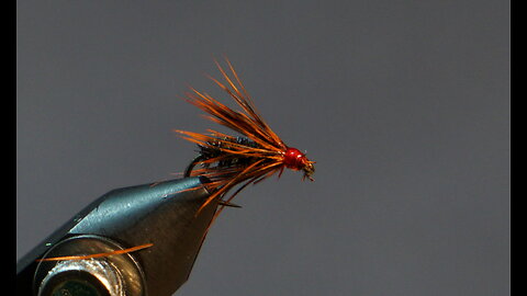 Red Hackle