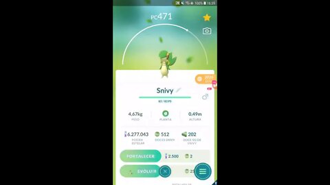 Live de Pokémon GO - Dia Comunitário de Geodude de Alola