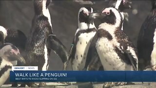 Walk like a penguin to avoid slipping