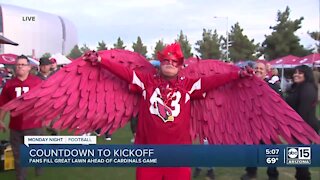 Fans fill great lawn ahead of Cardinals game