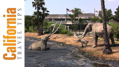 La Brea Tar Pits Tour | Los Angeles Travel Guide | California Travel Tips