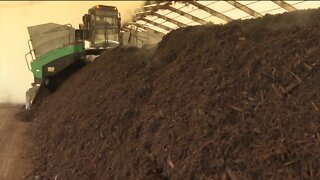 Hillsborough County compost facility highlights turning yard waste into reusable, profitable materials