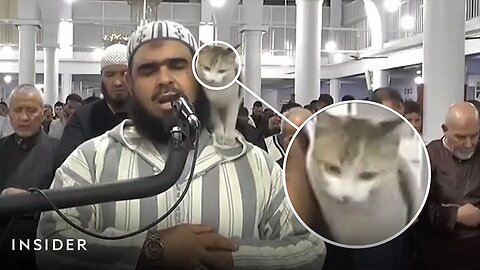 Feline Faith: Heartwarming Moment as Cat Joins Ramadan Prayer