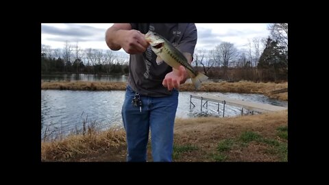 Winter Bass fishing; Illinois farm Pond