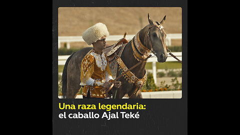 El caballo no es solo un animal: La importancia de Ajal Teké para Turkmenistán