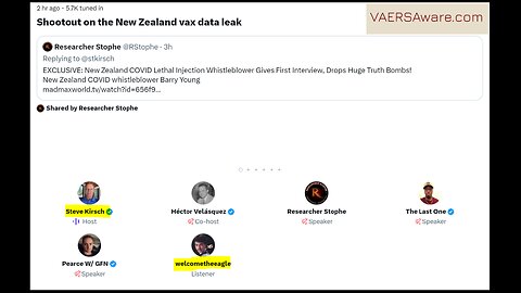 Steve Kirsch Validates The NZ Whistleblower's Dashboard On Twitter Spaces Dec 9.