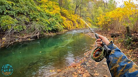 THE BEST FLY FISHING / TROUT FISHING VIDEO!! (Best of Compilation