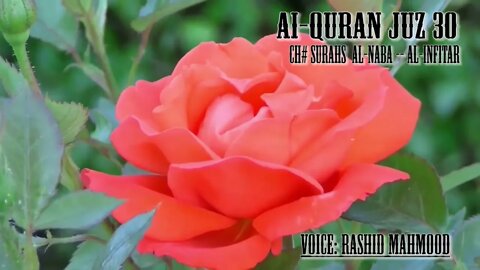 Quran recitation Juz 30