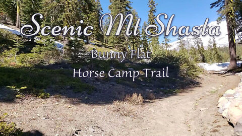 Scenic Mt Shasta - Horse Camp Trail