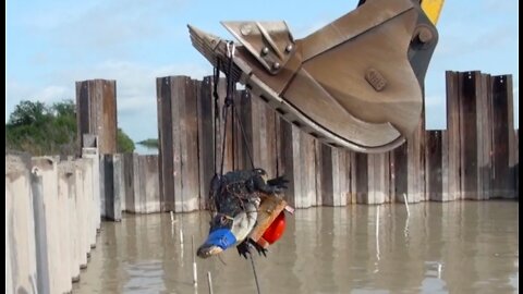Huge Alligator Trapped in a Construction Site!!
