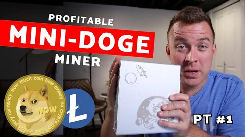 PROFITABLE Mini Doge + Litecoin Miner | Step By Step Part 1