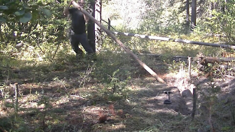 Log Cabin Part 1 - Bushcraft Shelter - Building a small log cabin with only hand tools before winter