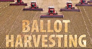 #672A BALLOT HARVESTING LIVE FROM PROC 08.09.23