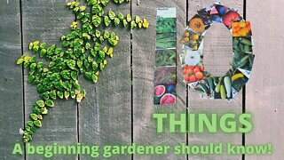 10 Tips for beginning gardeners