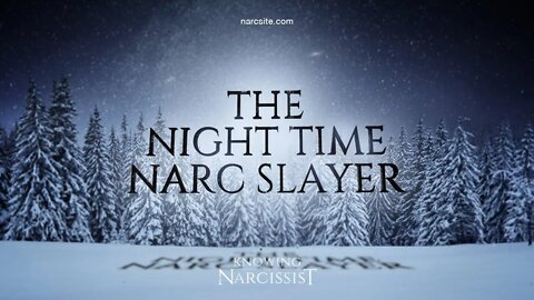 The Night Time Narc Slayer