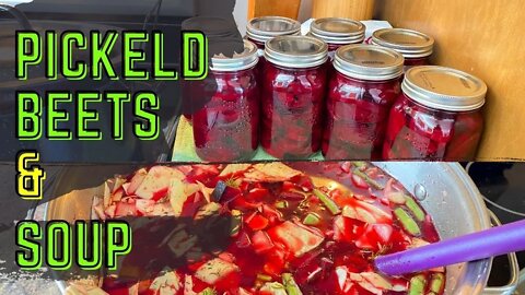 Canning Pickled Beets & How To Make Borscht Soup! | Horse Racing Century Mile Race Track