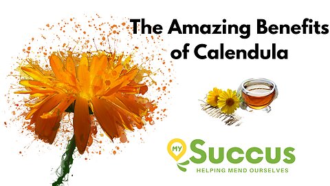 The Amazing Benefits of Calendula