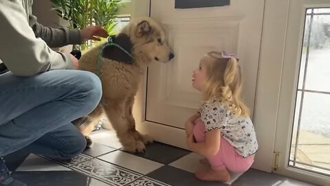 Adorable Little Girl Tries To Convince Scared Dog It's Bath Time! (Cutest Ever!!)