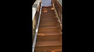 Deck Refinish