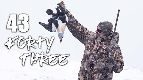 43 - THE FIRST EVER Single Season Waterfowl Slam | Mark V. Peterson Hunting