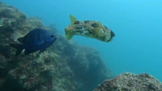 San Carlos Aquarium - San Carlos Mexico