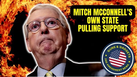 WOW: Mitch McConnell CENSURED Over His Efforts Violating The Constitution