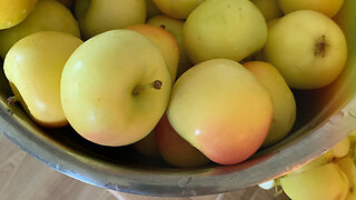 Homemade Apple Sauce has that Fall Feel