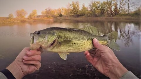 East Coast Bass Fishing