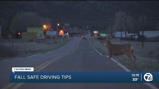 Fall safe driving tips