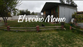 El vecino Momo