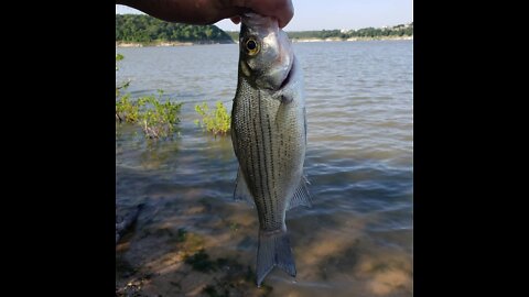 Lake Belton Fall 2017 Trips