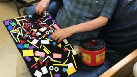 Velcro Fine-Motor Task for Individuals with Developmental Disabilities