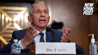 Anthony Fauci apologizes for latest gaffe in COVID analysis