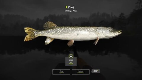 Russian Fishing 4 Kuori lake Pike 4.792 Kg