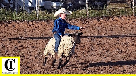 Mutton Bustin' 🦙 2022 Saint's Roost Jr. Ranch Rodeo | Thursday