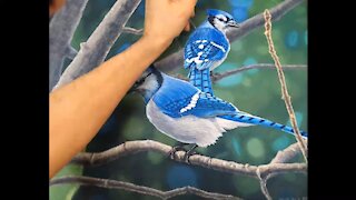 Time-lapse Acrylic on canvas: Bluejays