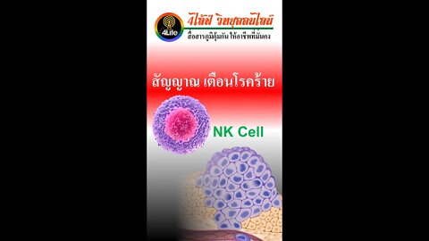 เกี่ยวกับ NK Cell