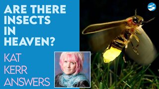 Kat Kerr: Are There Insects in Heaven? | July 28 2021