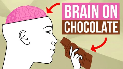 Your Brain On Chocolate