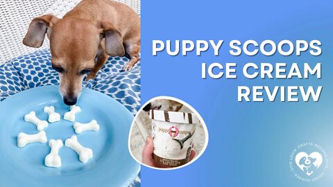 Puppy Scoops Dog Ice Cream Mix Review