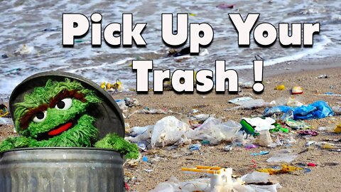 Don't mess with Texas beaches-Corpus Christi, Texas #shorts