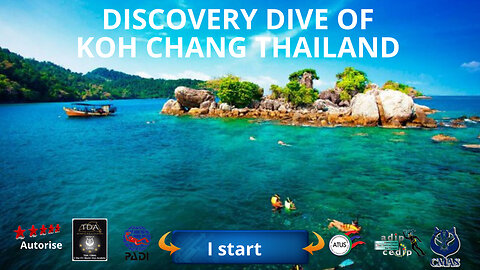🐋Small discovery dive of Koh Chang National Park