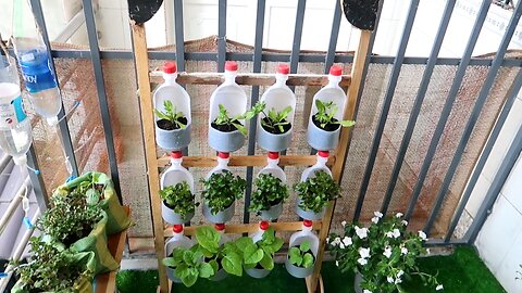 Amazing Vertical Garden, DIY Vertical Vegetable Garden from plastic bottles for balcony