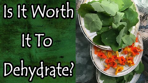 Is Dehydrating Worth it?