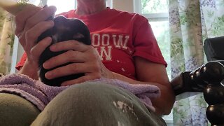 Bottle-Feeding Orphan Puppy