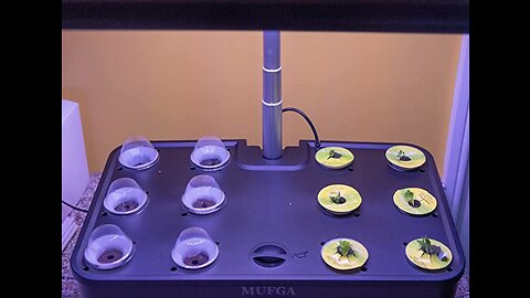 Herb Garden Hydroponics Growing System - MUFGA 12 Pods Indoor Gardening System with LED Grow Li...